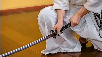 japanese swordcat