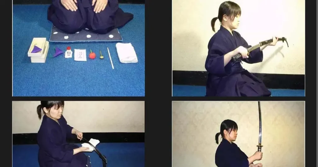 absword katana Maintenance 03