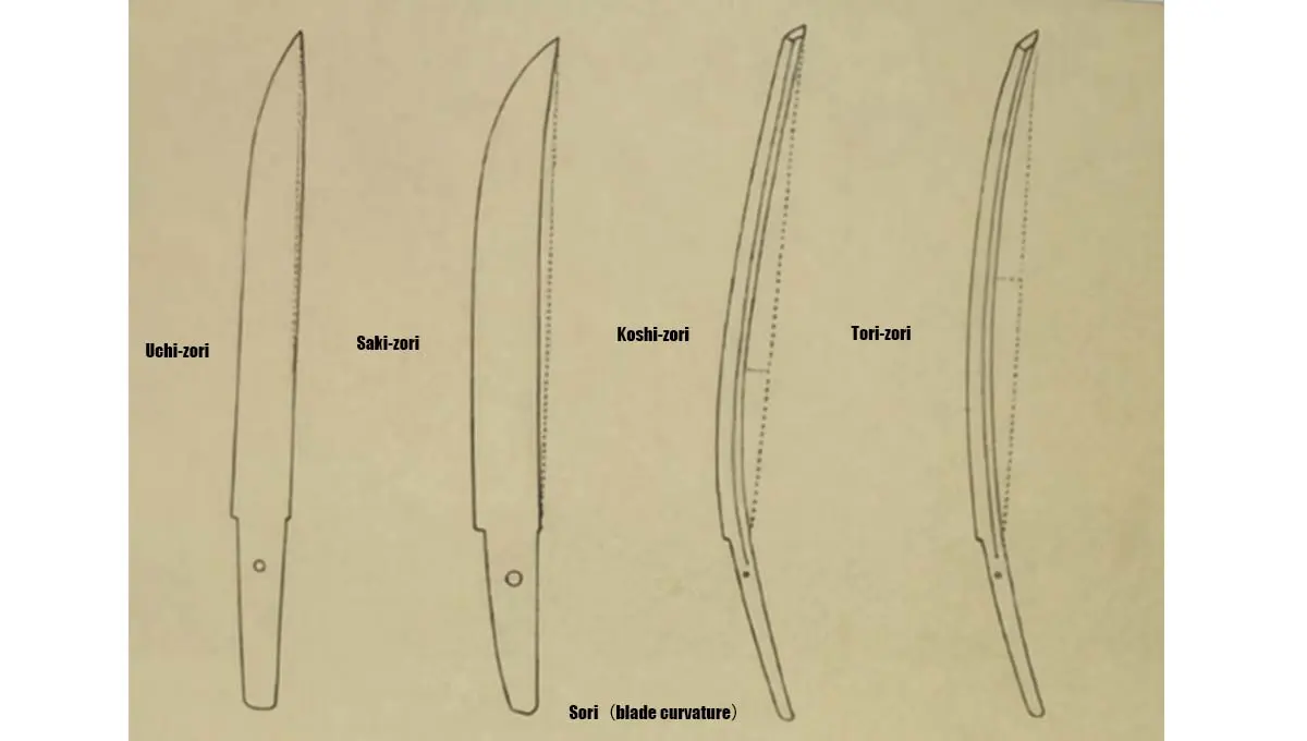 Diagram showing the curvature (sori) of a traditional Japanese katana blade