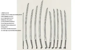 92 Samurai Swords of the Various Periods of Japan